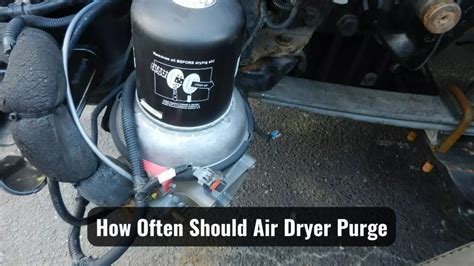 how often should air dryer purge|How Often Should Air Dryer Purge